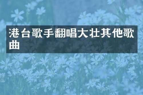 港台歌手翻唱大壮其他歌曲