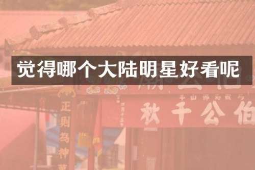 觉得哪个大陆明星好看呢