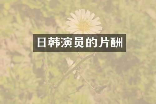 日韩演员的片酬
