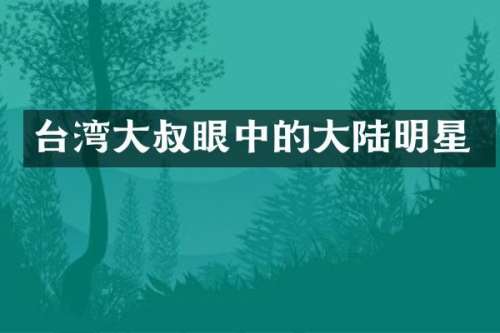 台湾大叔眼中的大陆明星