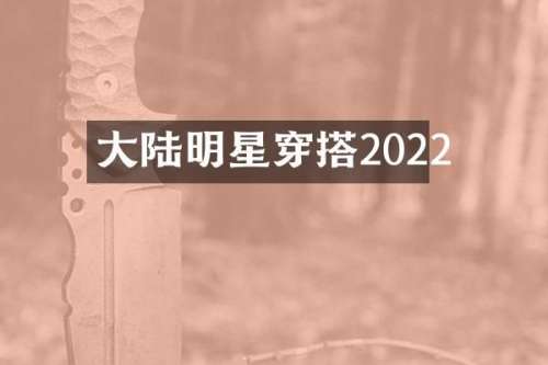 大陆明星穿搭2022