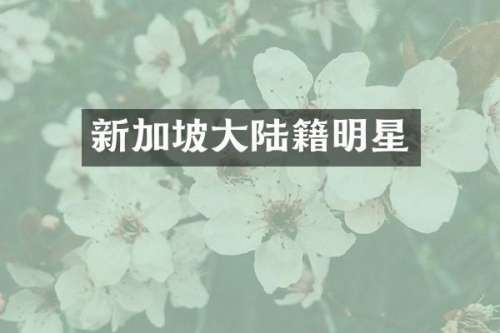 新加坡大陆籍明星