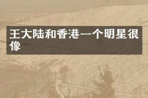 王大陆和香港一个明星很像