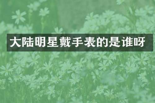 大陆明星戴手表的是谁呀