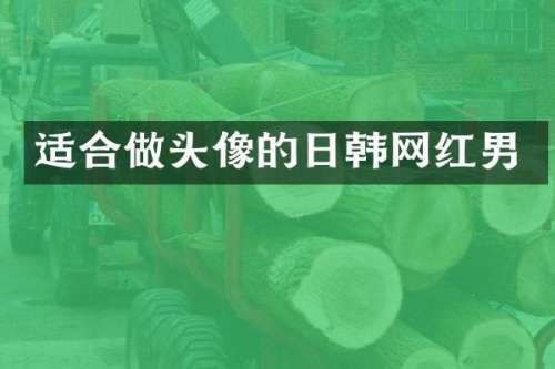 适合做头像的日韩网红男