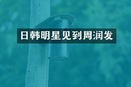 日韩明星见到周润发