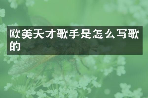 欧美天才歌手是怎么写歌的