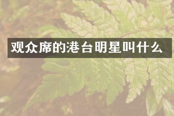 观众席的港台明星叫什么