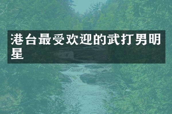 港台最受欢迎的武打男明星