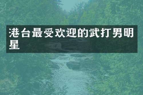港台最受欢迎的武打男明星