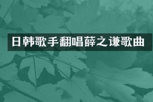 日韩歌手翻唱薛之谦歌曲