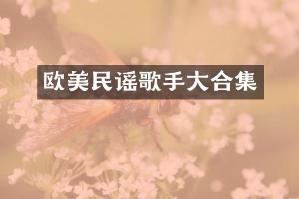 欧美民谣歌手大