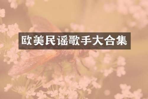 欧美民谣歌手大