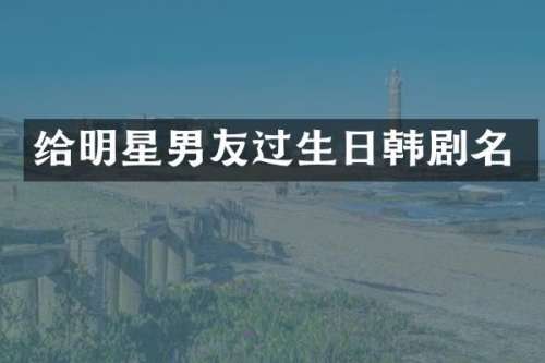 给明星男友过生日韩剧名