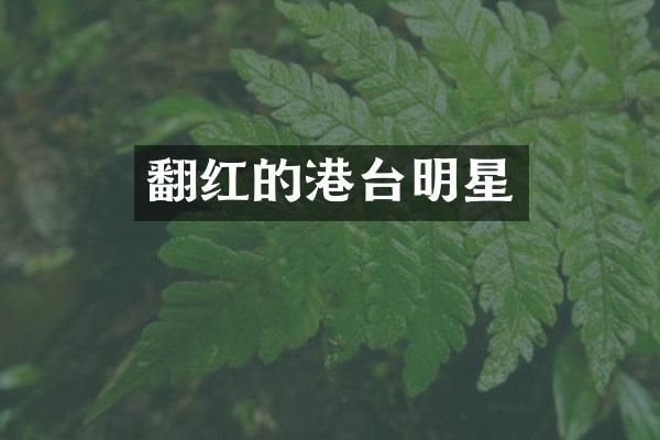 翻红的港台明星