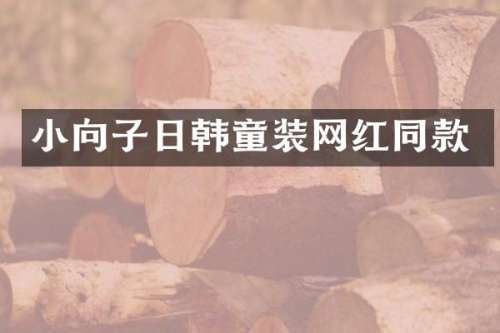 小向子日韩童装网红同款