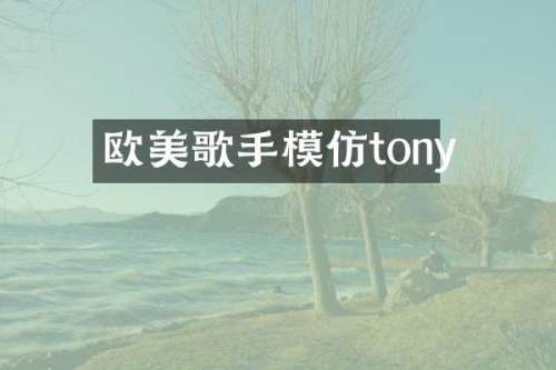 欧美歌手模仿tony