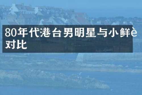 80年代港台男明星与小鲜肉对比