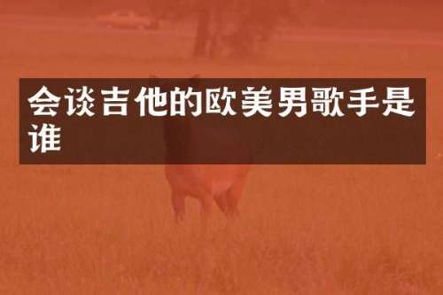 会谈吉他的欧美男歌手是谁