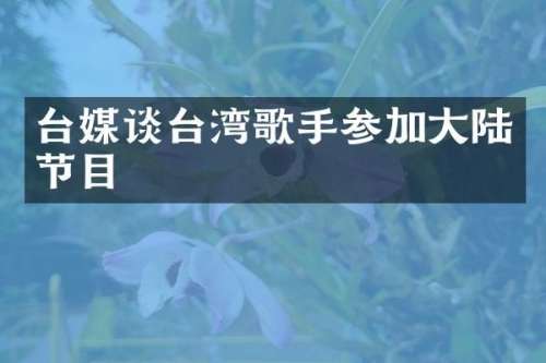 台媒谈台湾歌手参加大陆节目