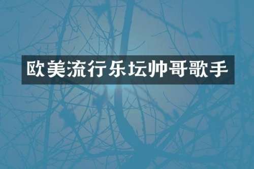 欧美流行乐坛帅哥歌手