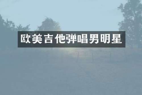 欧美吉他弹唱男明星
