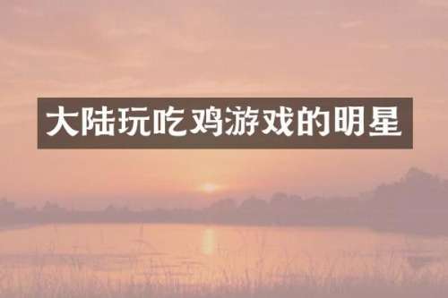 大陆玩吃鸡游戏的明星