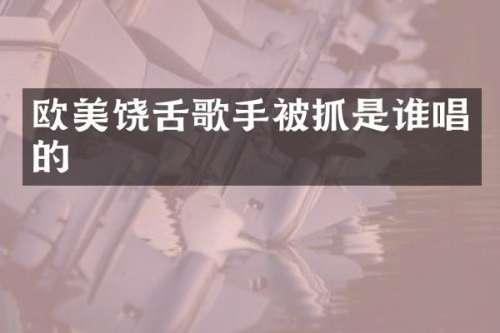 欧美饶舌歌手被抓是谁唱的
