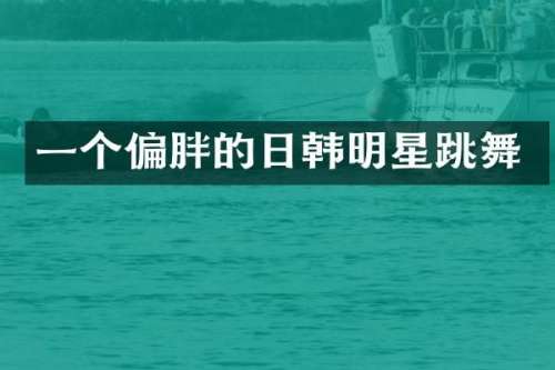 一个偏胖的日韩明星跳舞