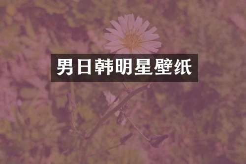 男日韩明星壁纸