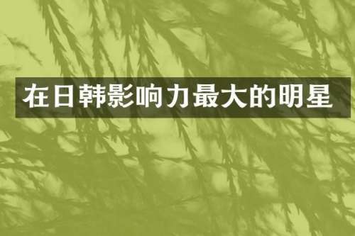 在日韩影响力最大的明星
