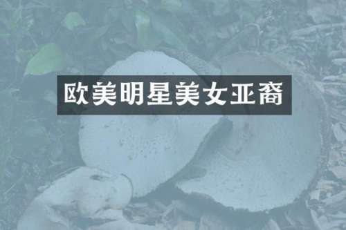 欧美明星亚裔