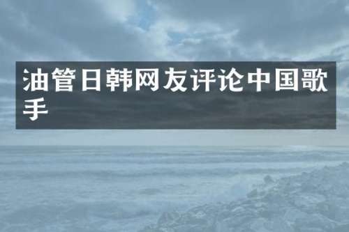 油管日韩网友评论中国歌手