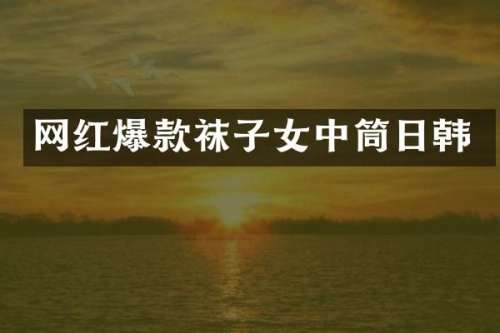 网红爆款袜子女中筒日韩