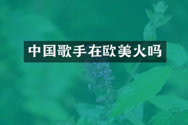 中国歌手在欧美火吗
