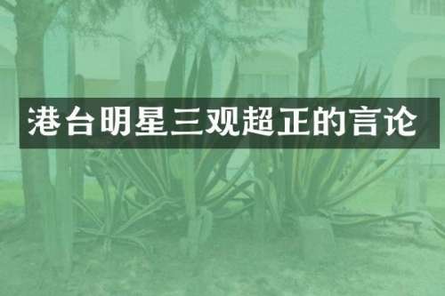 港台明星三观超正的言论
