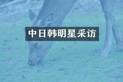 中日韩明星采访