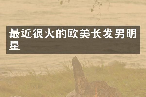 最近很火的欧美长发男明星