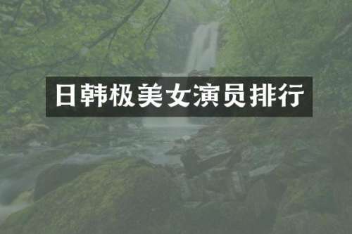 日韩极演员排行