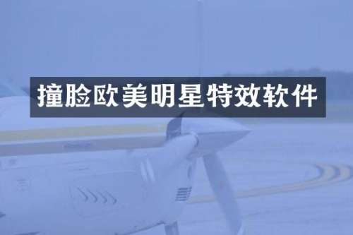 撞脸欧美明星特效软件