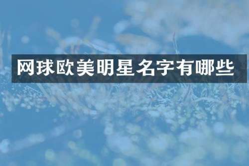 网球欧美明星名字有哪些