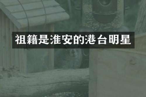 祖籍是淮安的港台明星