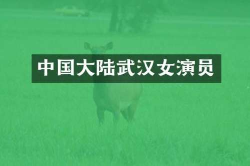 中国大陆武汉女演员