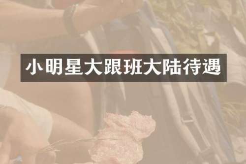 小明星大跟班大陆待遇