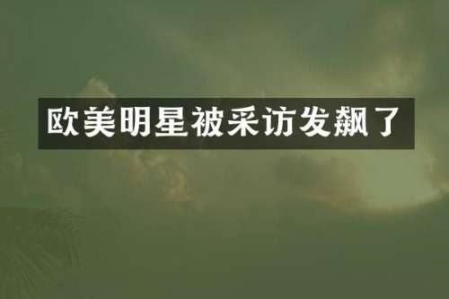 欧美明星被采访发飙了
