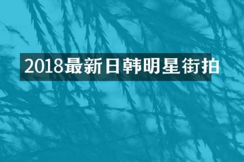 2018最新日韩明星街拍