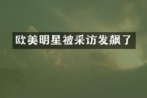 欧美明星被采访发飙了