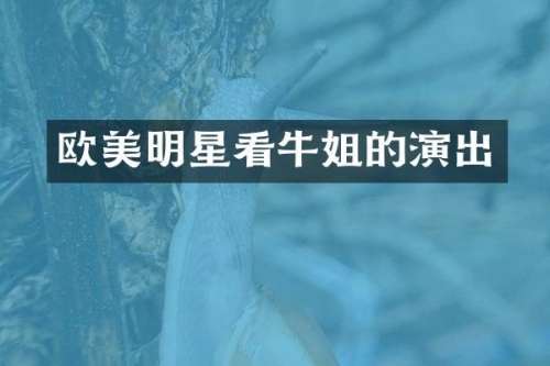 欧美明星看牛姐的演出