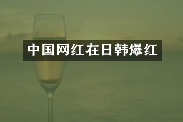 中国网红在日韩爆红