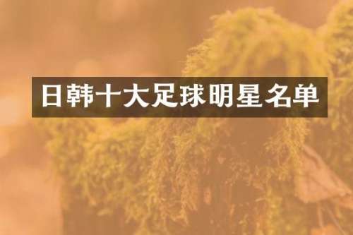 日韩十大足球明星名单